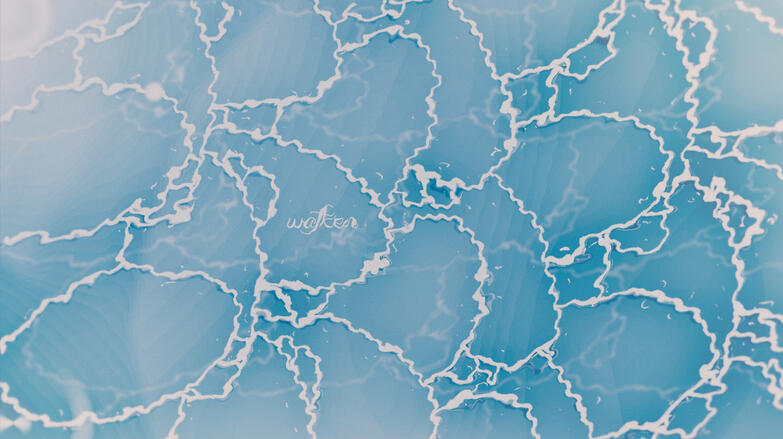 wave#2
